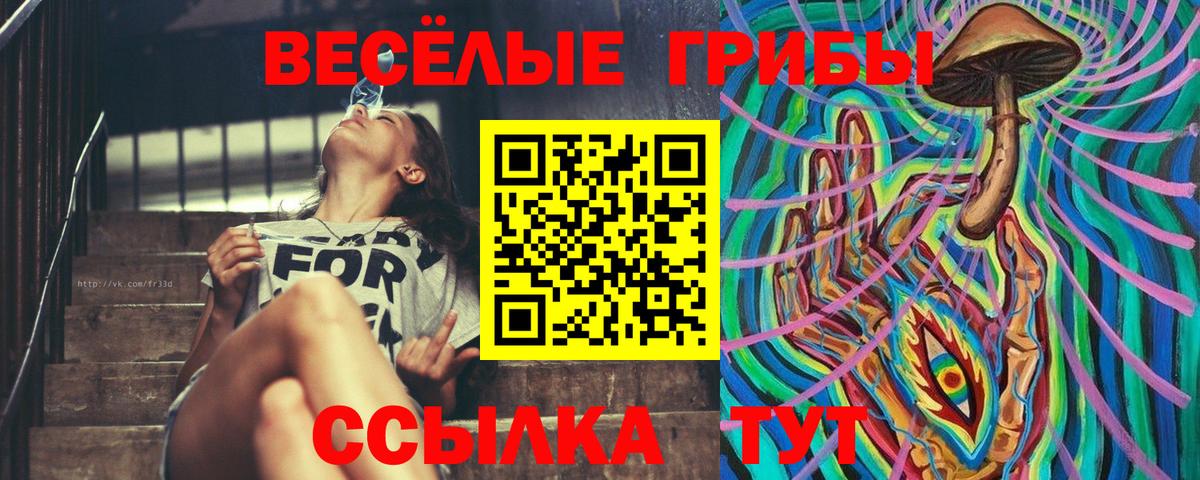 Железноводск  Галлюциногенные грибы GOLDEN TEACHER  Псилоцибиновые грибы Cubensis  Вход с VPN 