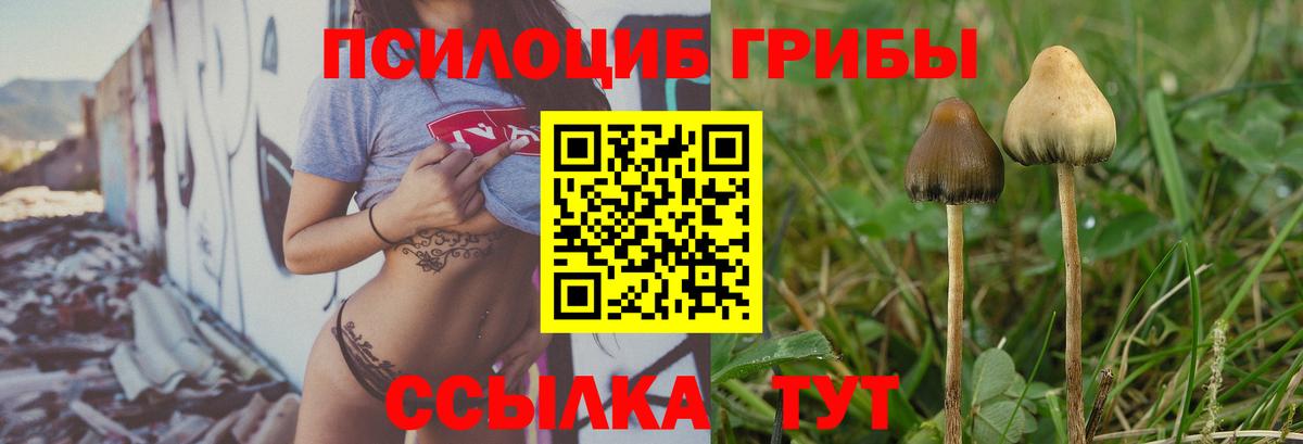 Галлюциногенные грибы Magic Shrooms Железноводск